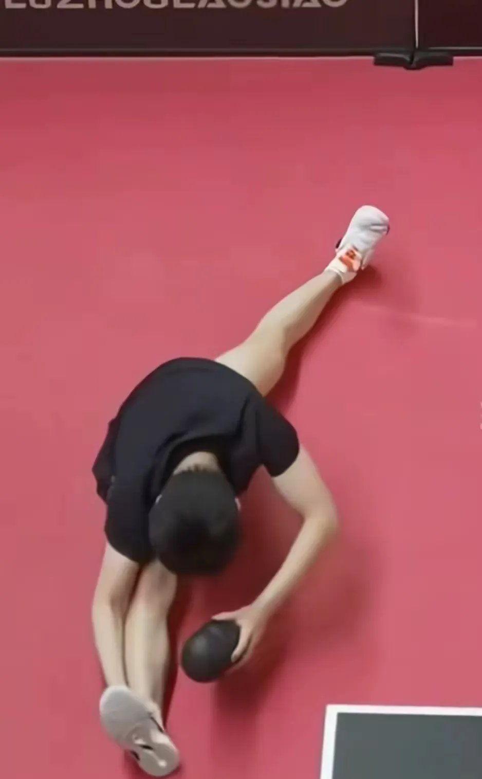 南特队员拼尽全力，努力争取下一场胜利的简单介绍