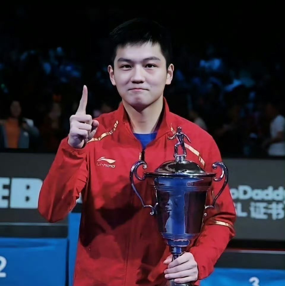 法国乒乓球队鏖战日本乒乓球队,王皓惊艳世界 法国乒乓球队鏖战日本乒乓球队,王皓惊艳世界