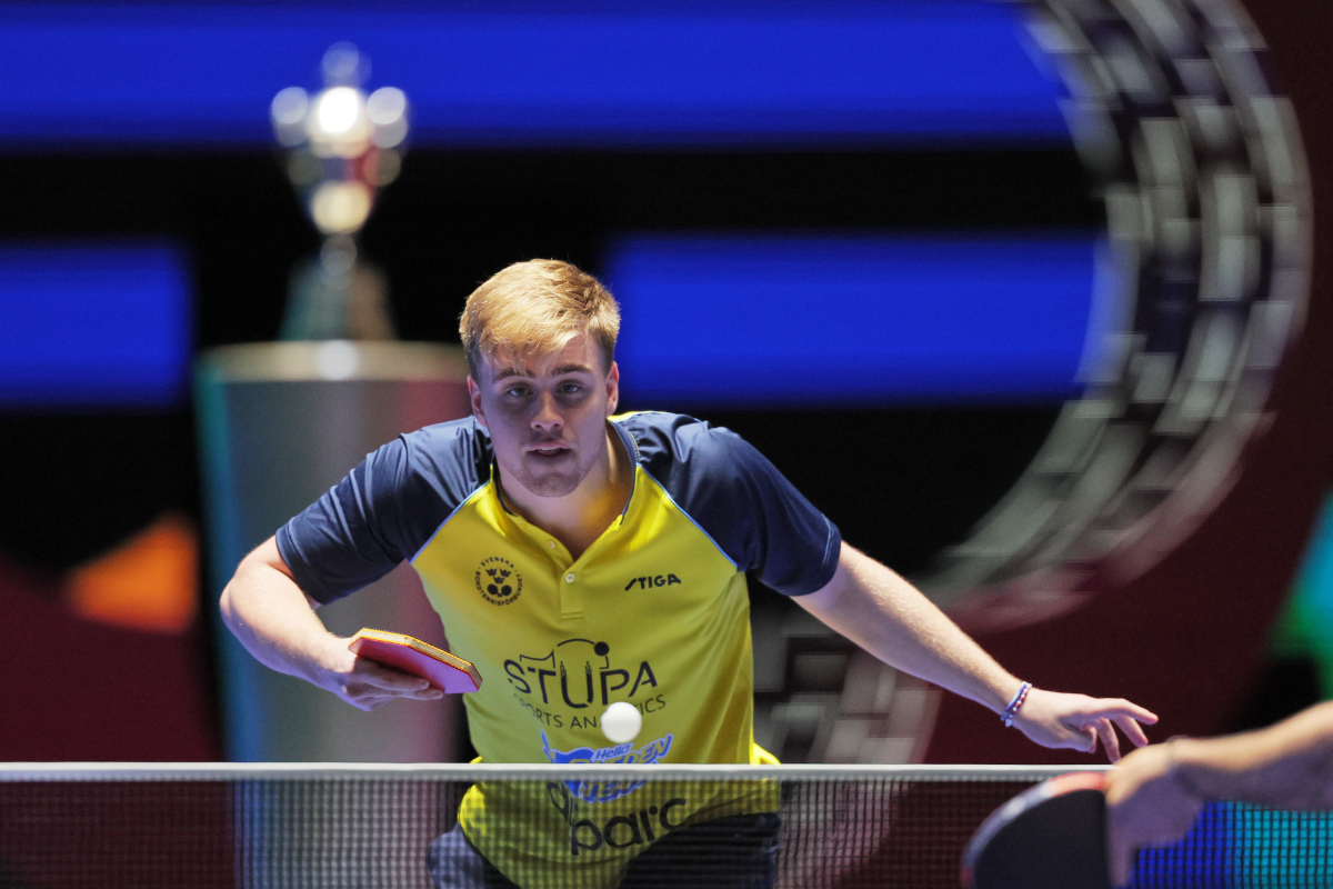 关于韩国乒乓球队血洗中国乒乓球队，波尔惊艳世界的信息