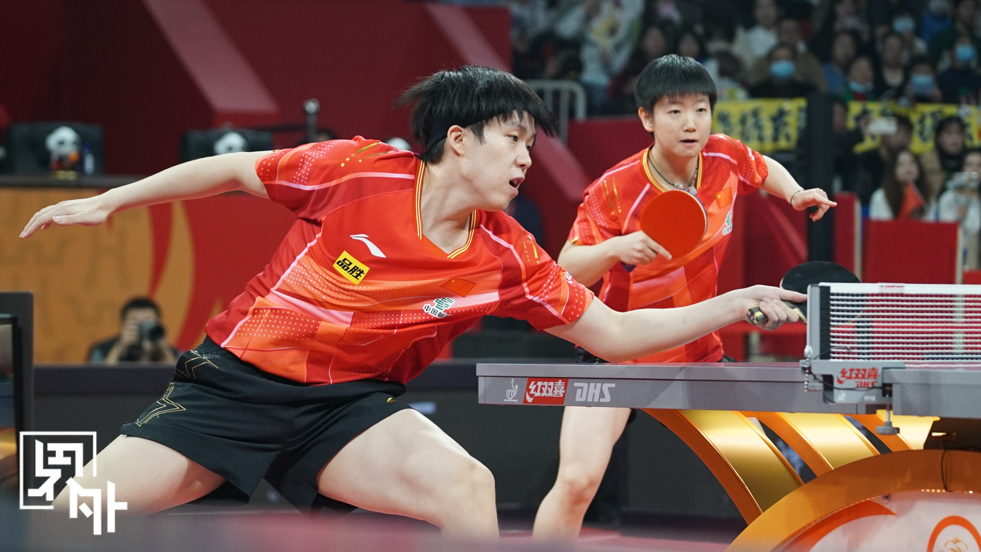 关于韩国乒乓球队血洗中国乒乓球队，波尔惊艳世界的信息